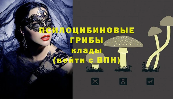 тгк Армянск
