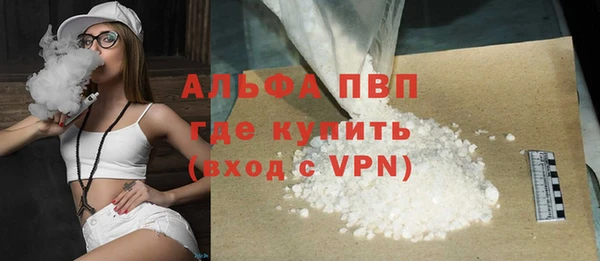 индика Аркадак
